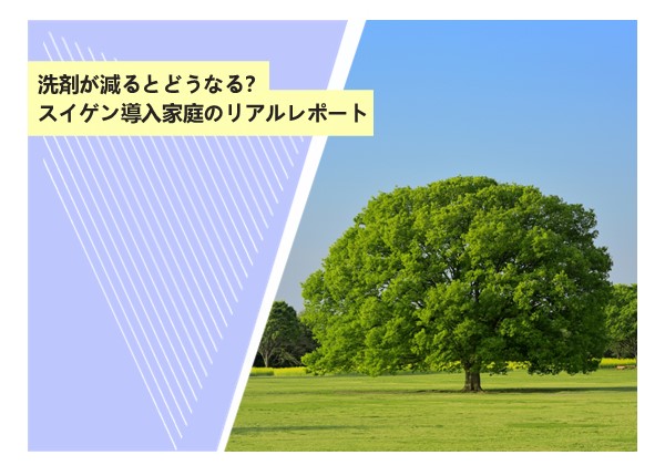 洗剤が減るとどうなる？スイゲン導入家庭のリアルレポート