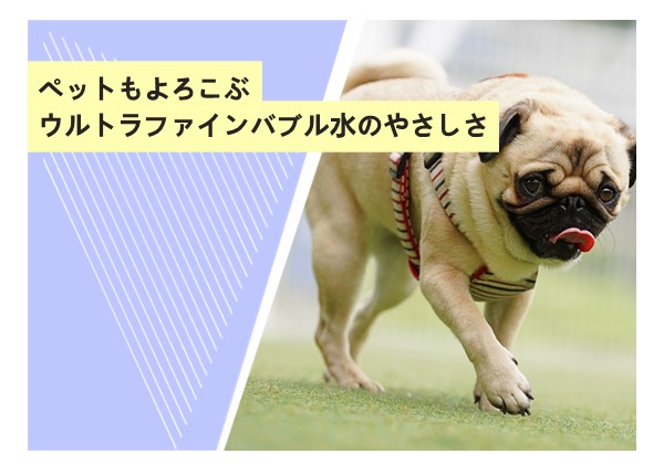 ペットもよろこぶウルトラファインバブル水のやさしさ