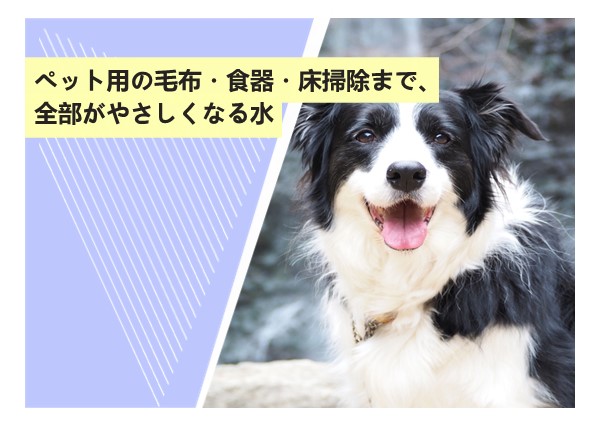 ペット用の毛布・食器・床掃除まで、全部がやさしくなる水
