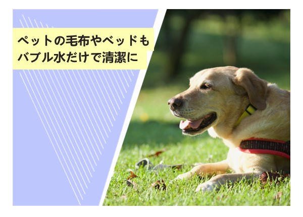 ペットの毛布やベッドもバブル水だけで清潔に