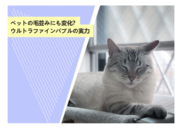 ペットの毛並みにも変化？ウルトラファインバブルの実力