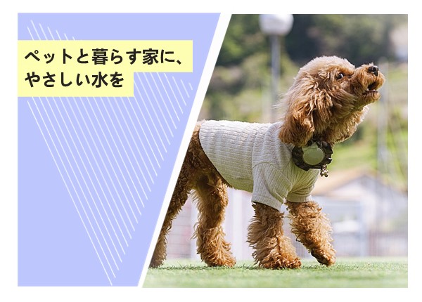 ペットと暮らす家に、やさしい水を