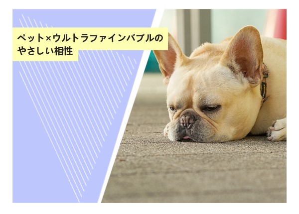 ペット×ウルトラファインバブルのやさしい相性