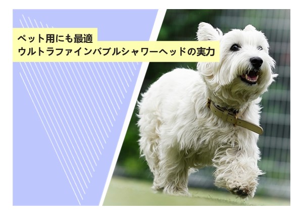 ペット用にも最適？ウルトラファインバブルシャワーヘッドの実力