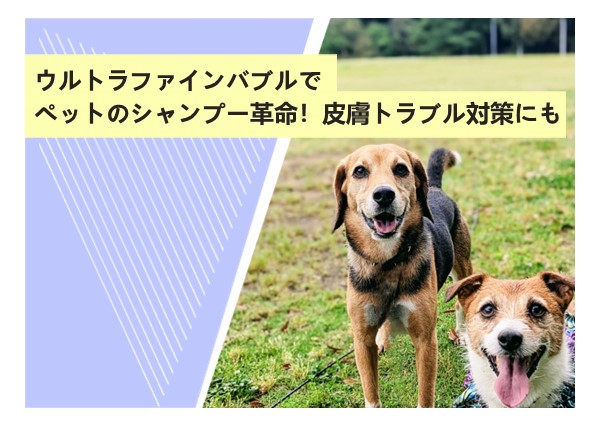 ウルトラファインバブルでペットのシャンプー革命！皮膚トラブル対策にも