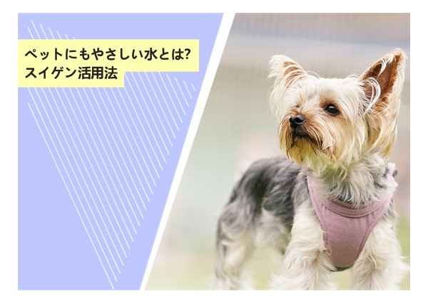 ペットにもやさしい水とは？スイゲン活用法