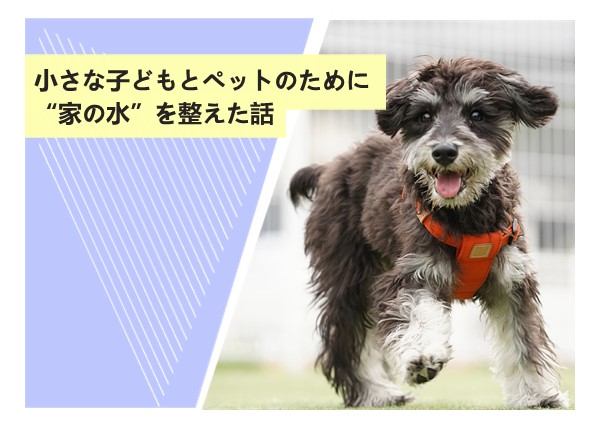 小さな子どもとペットのために“家の水”を整えた話