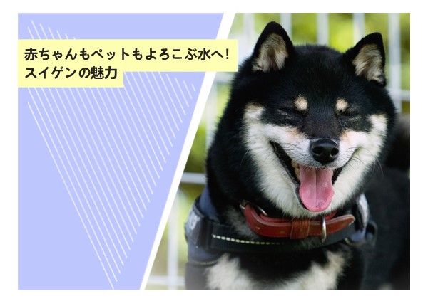 赤ちゃんもペットもよろこぶ水へ！スイゲンの魅力