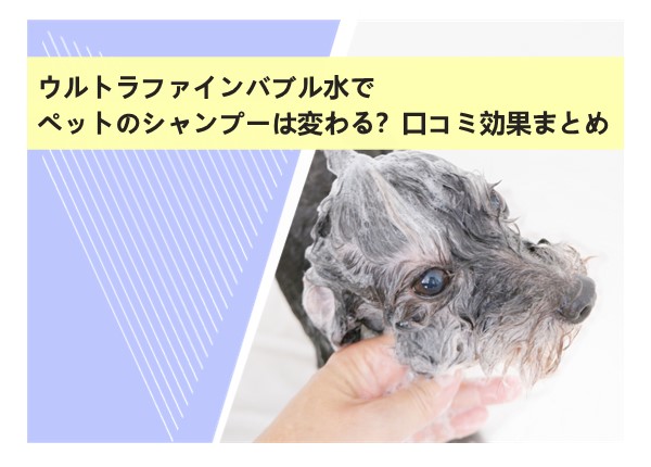 ウルトラファインバブル水でペットのシャンプーは変わる？口コミ・効果まとめ