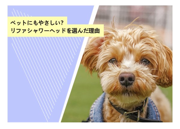 ペットにもやさしい？リファシャワーヘッドを選んだ理由