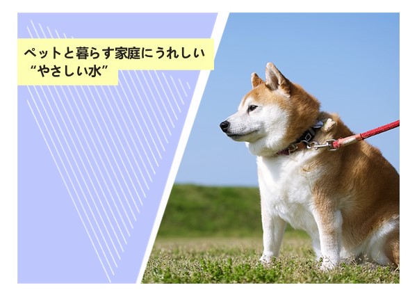 ペットと暮らす家庭にうれしい“やさしい水”