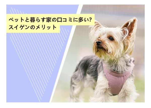 ペットと暮らす家の口コミに多い？スイゲンのメリット