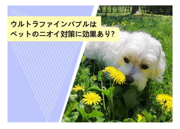 ウルトラファインバブルはペットのニオイ対策に効果あり？口コミ徹底解説