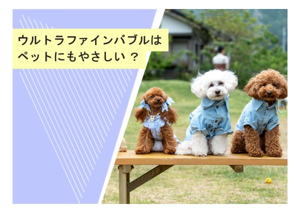 ウルトラファインバブルはペットにもやさしい？