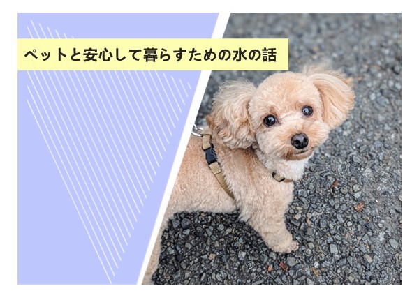 ペットと安心して暮らすための水の話