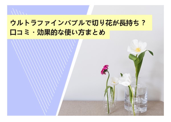 ウルトラファインバブルで切り花が長持ち？口コミ・効果的な使い方まとめ