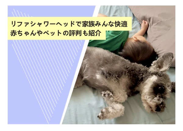 リファシャワーヘッドで家族みんな快適？赤ちゃんやペットの評判も紹介