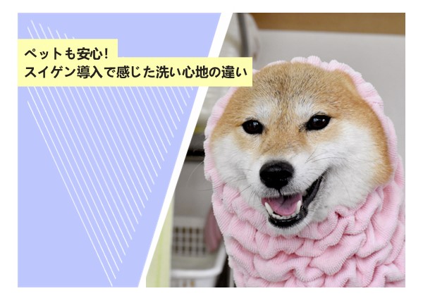 ウルトラファインバブルが主婦に選ばれる理由とは